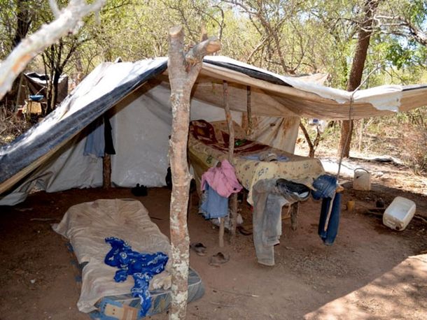 Detectan 157 trabajadores esclavos en una finca de Salta