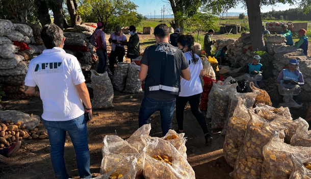 AFIP detectó maniobras de evasión y explotación laboral en campos de Córdoba y San Luis