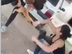 indignante: dos chicas maltrana a un animal indignante: dos chicas maltrana a un animal