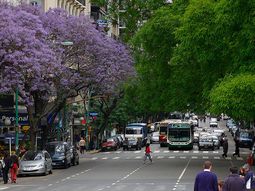 miercoles calido y soleado en el amba: como sigue el tiempo