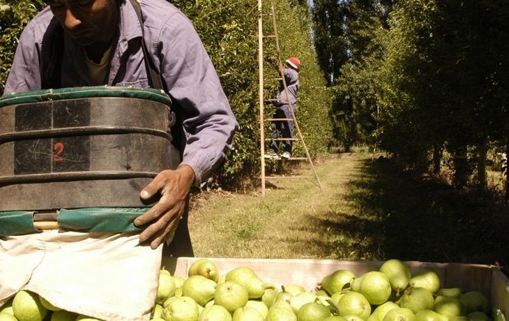 Advierten que economías regionales pierden rentabilidad y agravan su crisis