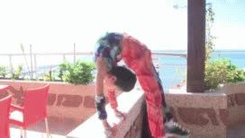 el nene arana palestino que quiere ser record guinness el nene arana palestino que quiere ser record guinness