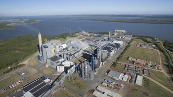 Nuevos problemas para UPM tras un accidente en Fray Bentos. Nuevos problemas para UPM tras un accidente en Fray Bentos.