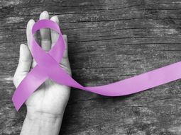 por que hoy es el dia internacional de la eliminacion de la violencia contra la mujer por que hoy es el dia internacional de la eliminacion de la violencia contra la mujer