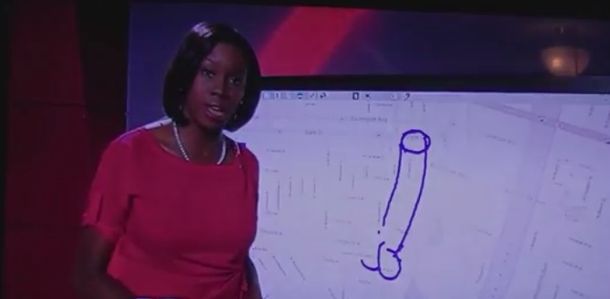 Ella sólo quería explicar su informe