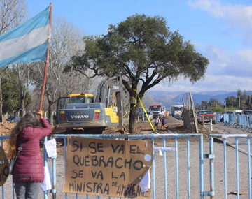 La remoción de un árbol centenario causó un estallido social en una localidad de Córdoba: ¿qué pasó?