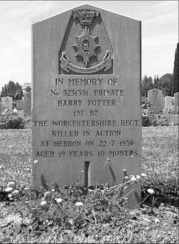 Afirman que encontraron la tumba donde está Harry Potter