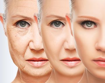 Salud y estética: nuevos tratamientos de criopreservación de células