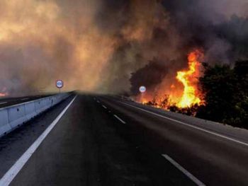 Emiten alerta roja por distintos incendios forestales en Chile