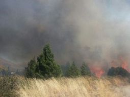 Gentileza Agencia de Noticias Bariloche. Gentileza Agencia de Noticias Bariloche.