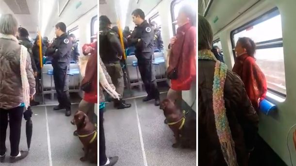 La insólita discusión entre pasajeros por un perro que solo quería viajar en tren