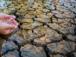 La crisis del agua sigue en Uruguay, donde las lluvias todavía no alcanzan. La crisis del agua sigue en Uruguay, donde las lluvias todavía no alcanzan.