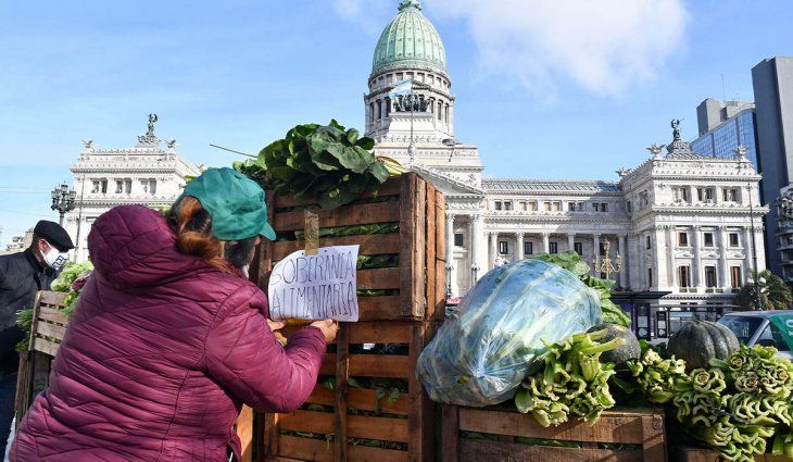 Alimentazo en el Congreso: se donaron 10 mil kilos de verduras