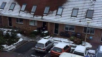 la falta de nieve relevo un cultivo de marihuana la falta de nieve relevo un cultivo de marihuana