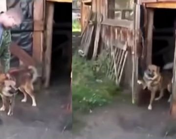 El perro que no quiere que lo bañen 