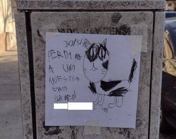 Historia viral y con final feliz: hizo dibujos a mano para recuperar a su gato perdido