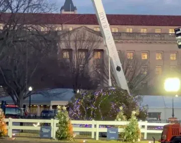 Por primera vez se cayó el árbol de Navidad de la Casa Blanca
