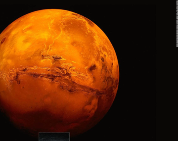 El llamativo y misterioso hallazgo de arándanos raros en Marte por la NASA