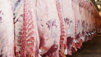 La exportación de carne a China cayó un 43% interanual en octubre. La exportación de carne a China cayó un 43% interanual en octubre.