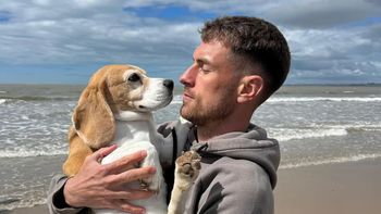 reconocido futbolista europeo ofrece una fortuna por su perra perdida en mexico reconocido futbolista europeo ofrece una fortuna por su perra perdida en mexico