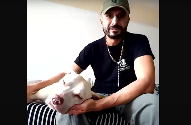 Perdió a su perro en un accidente vial y lo reencontró un mes después