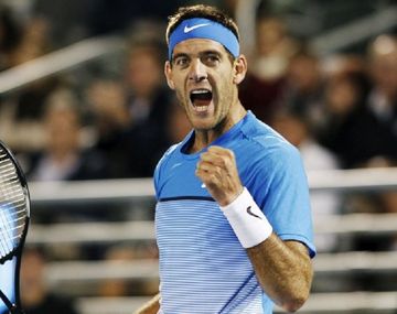 Delray Beach será el primer torneo de Del Potro en este 2017