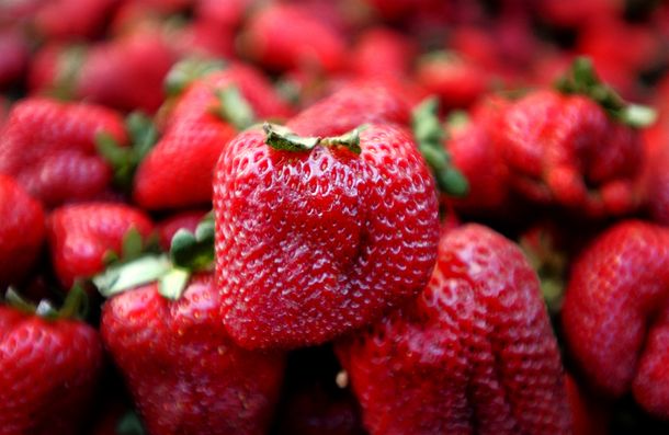 Este delicioso y nutritivo licuado contiene frutillas. Este delicioso y nutritivo licuado contiene frutillas.