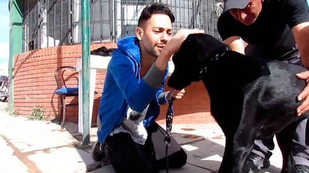 Así fue el reencuentro de un hombre con su perra tras buscarla por cuatro meses