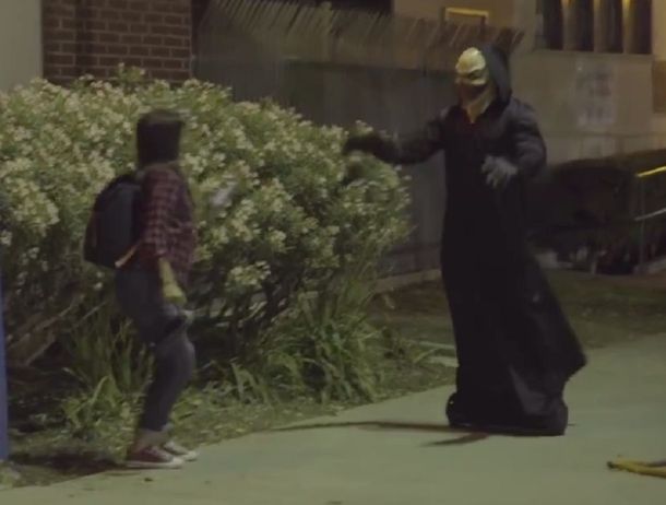 VIDEO: Un monstruo volador que causa pánico