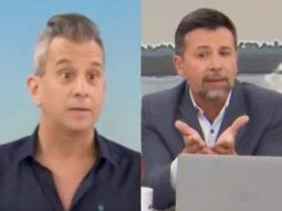 feroz cruce entre companeros de tn por los carpinchos de nordelta: para, martin cirio... feroz cruce entre companeros de tn por los carpinchos de nordelta: para, martin cirio...