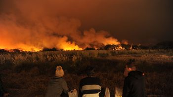 macri: el fuego en la reserva ecologica es intencional macri: el fuego en la reserva ecologica es intencional