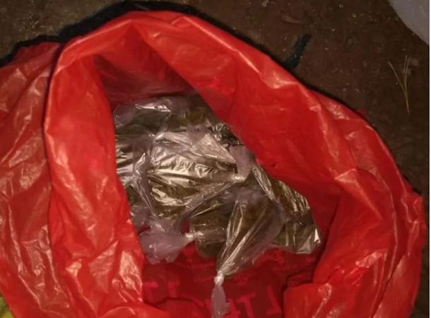 Allanaron por muebles robados: encontraron drogas, armas y pájaros en peligro de extinción