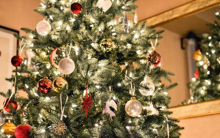 Cuánto cuesta armar el arbolito de Navidad: un 12% más que el año pasado