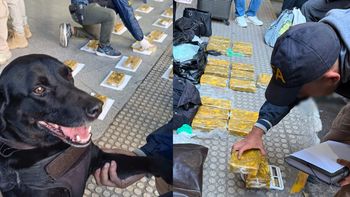 Manteca, el perro que, junto a su guía, marcó las valijas pertenecientes a dos pasajeras Manteca, el perro que, junto a su guía, marcó las valijas pertenecientes a dos pasajeras