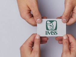 IMSS advierte que estos errores pueden retrasar tu pago de abril 2026 IMSS advierte que estos errores pueden retrasar tu pago de abril 2026