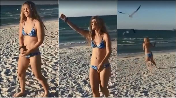 Miedo a las gaviotas de por vida