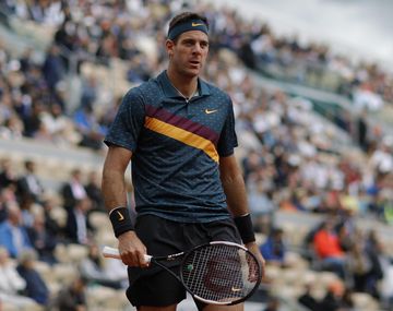 Juan Martín del Potro