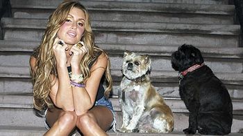 Tiger lover Tiger lover