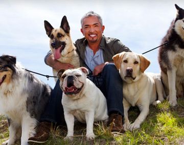¡Bien encantados! Los perros de Cesar Millán evitaron un robo en su casa