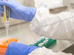 Buena noticias: la vacuna de Oxford produjo inmunidad en adultos mayores