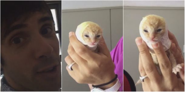 Video: así se recupera la gatita que rescató Robertito Funes
