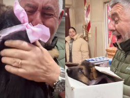 Le regalaron una perrita por el Día del Padre tras perder a su ovejero alemán: la reacción viral