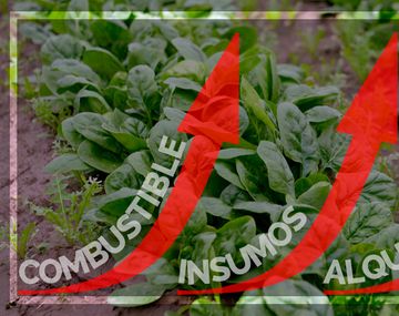 {altText(,#Verdurazo y crisis: cuáles son los gastos mensuales de un productor)}