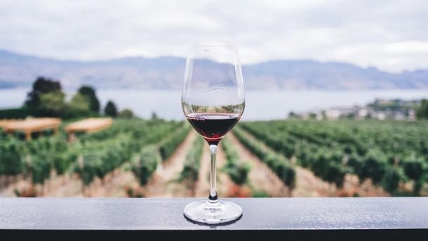 Día Nacional del Vino: la historia detrás de esta gran celebración nacional