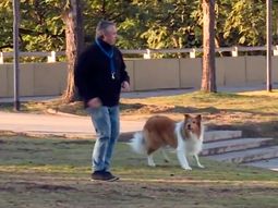 Él no sabe de elecciones: Alberto sacó a pasear a Dylan antes de votar