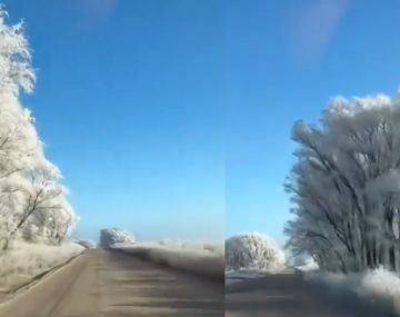 Ola de frío polar y bosque de hielo: impactante video de un camino congelado en Buenos Aires