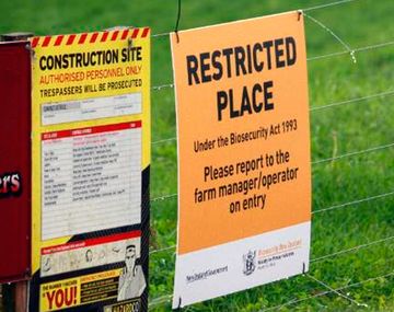 Nueva Zelanda sacrificará más de 150 mil vacas para erradicar una peligrosa enfermedad