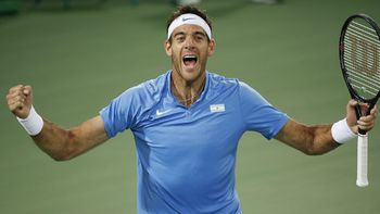 el triunfo de del potro, en imagenes el triunfo de del potro, en imagenes