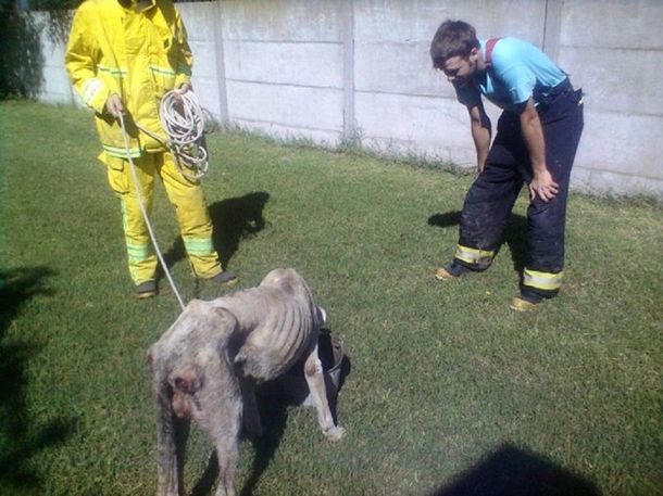 Estuvo encerrado varios días en un pozo, al borde de la muerte: lo rescataron