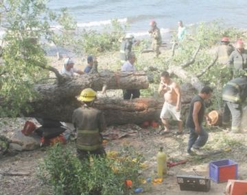 Dos nenes murieron aplastados por un árbol mientras estaban jugando